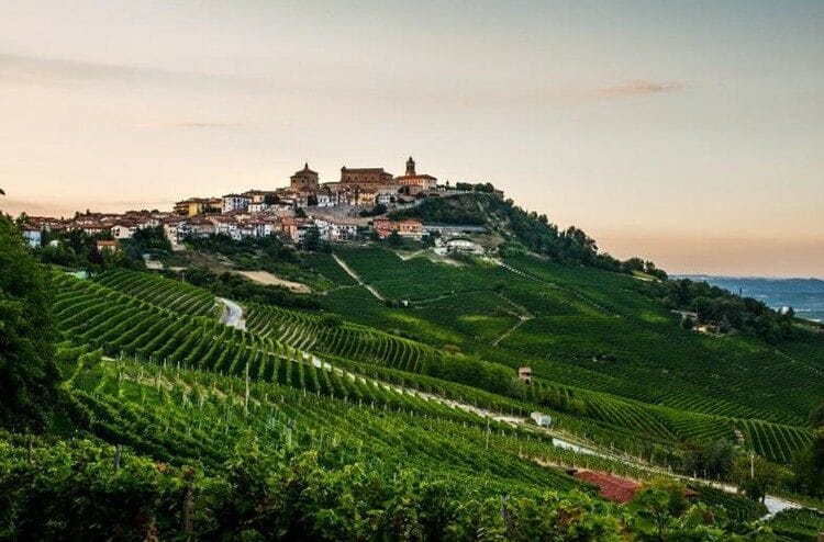 Discover curated European wine journeys for women - experience Spain, Italy and Portugal’s traditions, gastronomy and heritage with intimate expert-led tours